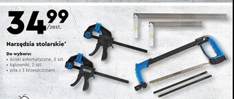 Biedronka Piła + 3 brzeszczoty oferta