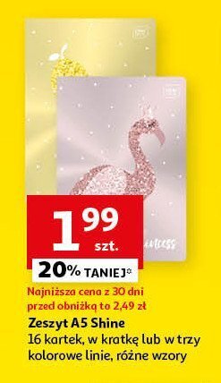 Zeszyt a5/32 k. linia shine