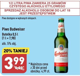 ALDI Piwo Budweiser 0,5 l oferta