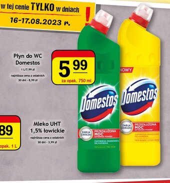 Gram Market Płyn do WC Domestos 750 ml oferta