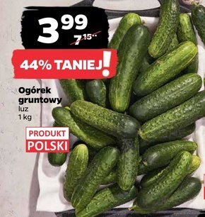 Netto Ogórek oferta