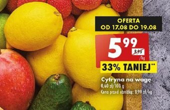 Biedronka Cytryna 1kg oferta