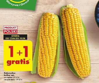 Biedronka Kukurydza kolba, szt. oferta