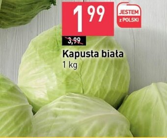 Stokrotka Kapusta biała 1 kg oferta