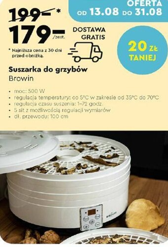 Biedronka Suszarka do grzybów Browin oferta