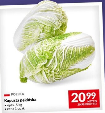 Makro Kapusta pekińska 5 kg oferta