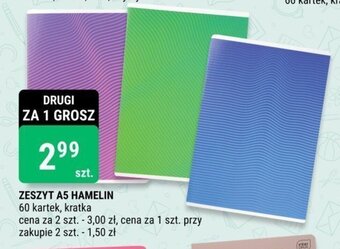bi1 ZESZYT A5 HAMELIN oferta