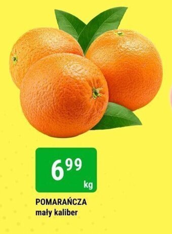 bi1 POMARAŃCZA mały kaliber 1 kg oferta