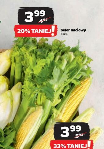 Netto Seler naciowy oferta