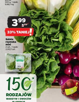 Netto Sałata rzymska mini oferta