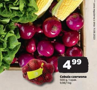 Netto Cebula czerwona oferta