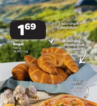 Netto Rogal oferta