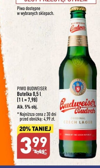 ALDI Piwo budweiser oferta