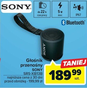 Carrefour Głośnik sony oferta