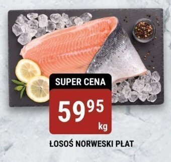 bi1 ŁOSOS NORWESKI PŁAT 1 kg oferta