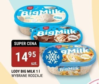 bi1 LODY BIG MILK 1 l oferta