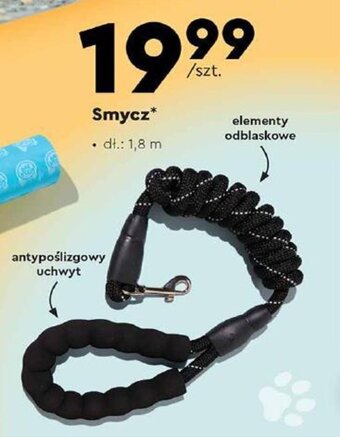 Biedronka Smycz oferta