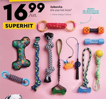Biedronka Zabawka dla psa lub kota oferta
