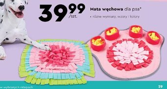 Biedronka Mata węchowa dla psa oferta