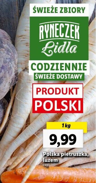 Lidl Polska pietruszka, luzem 1 kg oferta