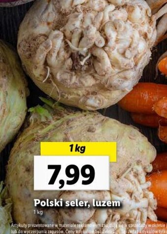Lidl Polski seler, luzem 1 kg oferta