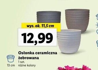 Lidl Osłonka ceramiczna żebrowana wys. ok. 11,5 cm oferta