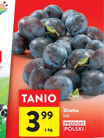 Intermarche Śliwka 1kg oferta