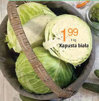 E.Leclerc Kapusta biała 1kg oferta