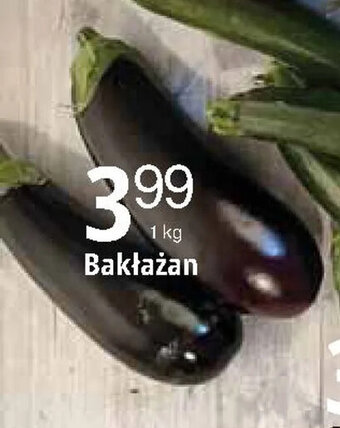 E.Leclerc Bakłażan 1 kg oferta