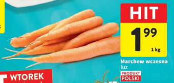 Intermarche Marchew wczesna 1 kg oferta
