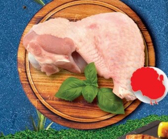 Topaz Skrzydło z indyka oferta