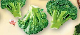 Topaz Brokuł oferta