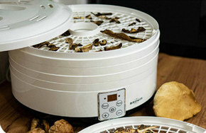 Biedronka Suszarka do grzybów browin oferta