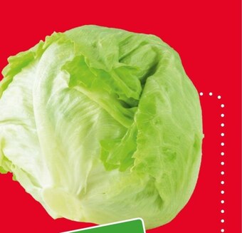 Selgros Sałata oferta