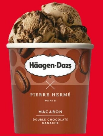 Selgros Lody häagen-dazs oferta