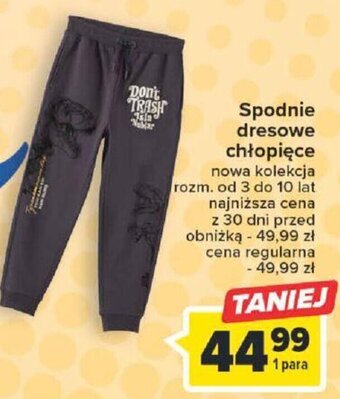 Carrefour Spodnie dresowe chłopięce oferta