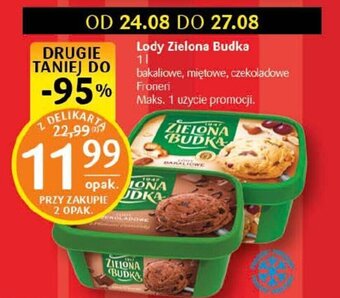 Delikatesy Centrum Lody Zielona Budka 1 l oferta