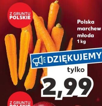 Kaufland Polska marchew 1kg oferta