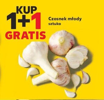 Kaufland Czosnek młody sztuka oferta