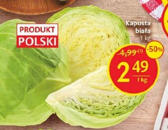 Delikatesy Centrum Kapusta biała 1 kg oferta