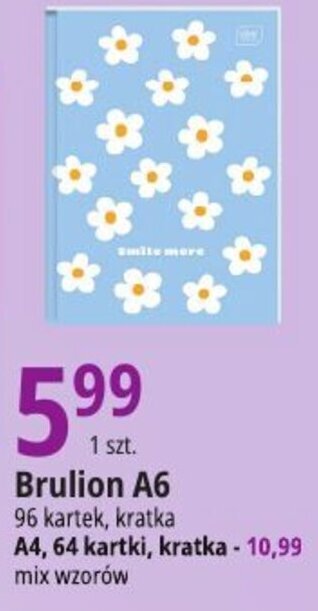 E.Leclerc Brulion A6 96 kartek, kratka oferta