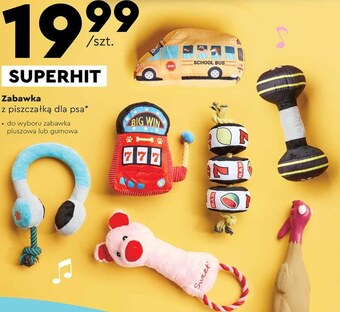 Biedronka Zabawki dla psa oferta