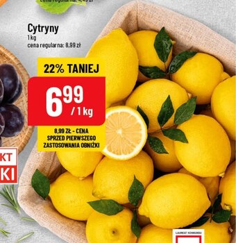 Polomarket Cytryna oferta