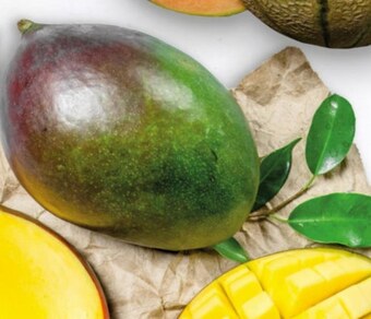 Twój Market Mango oferta