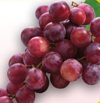 Twój Market Winogrona oferta