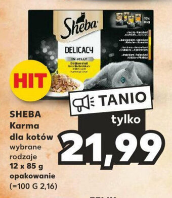 Kaufland SHEBA Karma dla kotów 12 x 85 g oferta