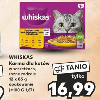 Kaufland WHISKAS Karma dla kotów 12x85g oferta