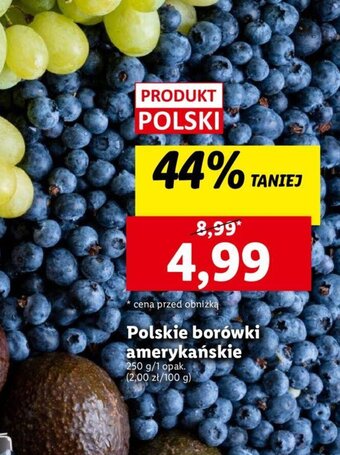 Lidl Polskie borówki amerykańskie 250 g oferta