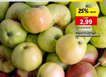 Lidl Polskie jabłka antonówki, luzem 1 kg oferta