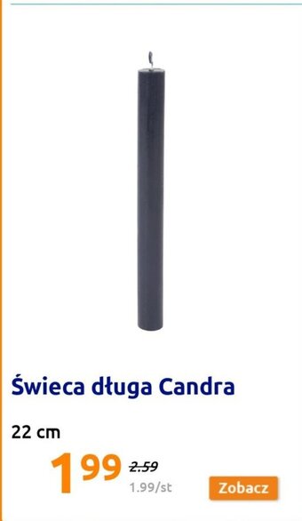 Action Świeca długa Candra 22cm oferta